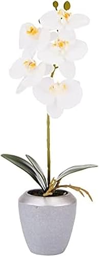 Miniatura 1 de Mikasa Orquídea artificial en maceta, orquídea Phalaenopsis de tacto real, maceta de cemento con borde plateado, rama individual de 15 pulgadas,