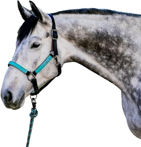 Miniatura 6 de Kensington - Halter de alta calidad con nariz acolchada, medidas de seguridad separadas añadidas, a presión en la garganta para un ajuste idéntico