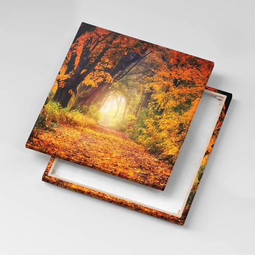 Tunnel forestier de feuilles d’automne Wallfluent : ravivez vos murs ternes