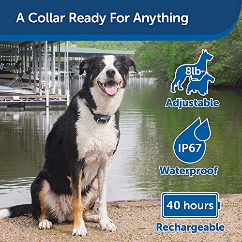 Petsafe 600 Yard Lite Remote Training Collar – 2 Dog Kit – Smaller Version For Small Or Medium Dogs, Tone, Vibration & 15 Levels Of Safe & Humane Static Stimulation, Medium Range To Train Off Leash #TOP4