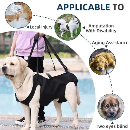 Tragehilfe Hund Treppe, Hundeliftgeschirr Mobilitätshilfen Einstellbar - Unterstützung für Mittelgroße Ältere Hunde Mit Schwachen Beinen, Chirurgie Rehabilitation (XL)