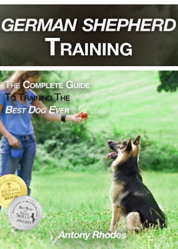 best german shepherd training