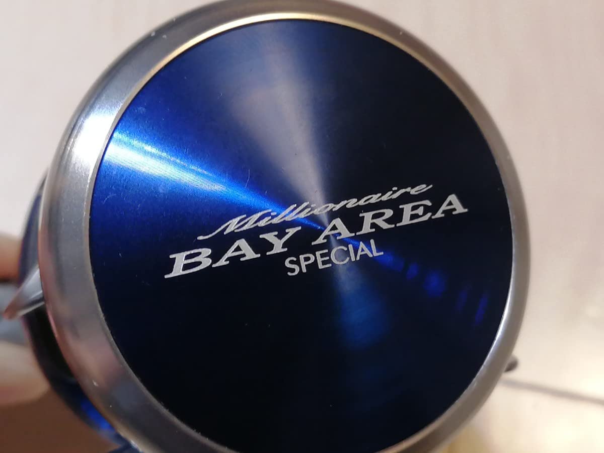 DAIWAミリオネアBAY AREA SPECIAL 100L Daiwa Millionaire Bay Area Special 100 Baitcast Reel