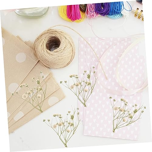 Kit Ramo de Flores Secas para Decoración miniatura 4