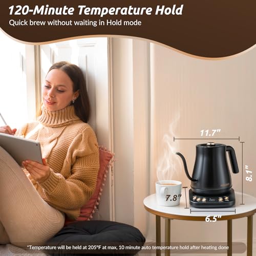 RONGBEST Electric Gooseneck Kettle 1L – Six Presets & 1200W Heating — view 4