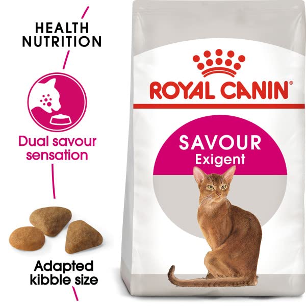 Amazon | ロイヤルカナン FHN セイバー エクシジェント 成猫用 4kg