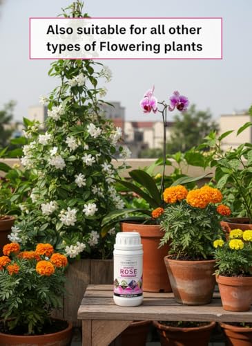 Image of Organic Rose Fertilizer Super Plant Food - For Rose Plants Growth and Flowering Fertilizer