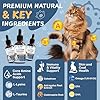 L-Lysine Supplement for Cats - Vitamins & Taurine for Immune Support & Allergy Relief - Lysine for Respiratory, Sneezing, Runny Nose, Eye Function - Natural Cat Antibiotic Drops - 60ML Slamon Flavor #3