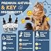 L-Lysine Supplement for Cats - Vitamins & Taurine for Immune Support & Allergy Relief - Lysine for Respiratory, Sneezing, Runny Nose, Eye Function - Natural Cat Antibiotic Drops - 60ML Slamon Flavor