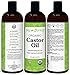 Castor Oil USDA Organic Cold-Pressed (16oz) 100% Pure Hexane-Free Castor Oil - Conditioning & Healing, For Dry Skin, Hair Growth - For Skin, Hair Care, Eyelashes - Caster Oil By Sky Organics