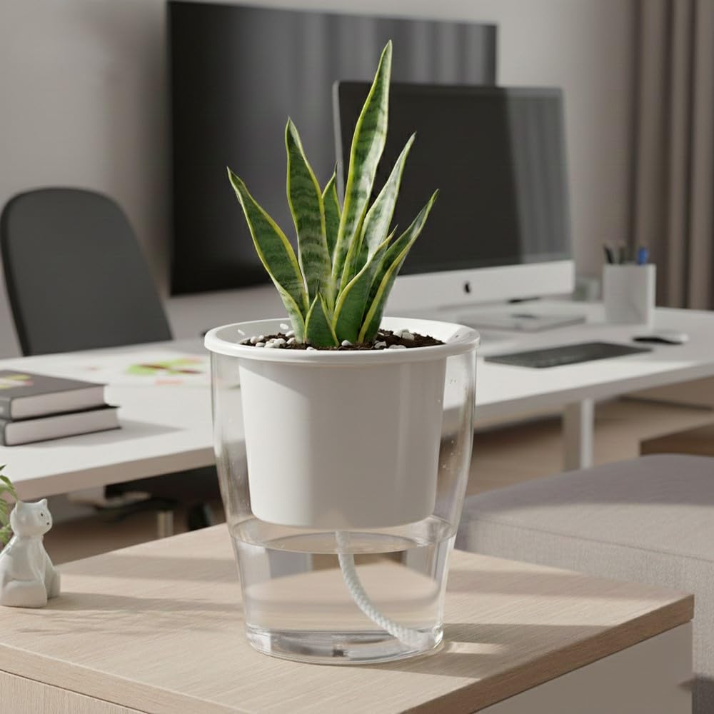 GARDENCIA Clear Self Watering Pot 6 Inch – Transparent Plastic Planter for Indoor Plants, Succulents, Herbs & Flowers – Durable Pot with Water Reservoir & Drainage HoleWhite P.1-image-37