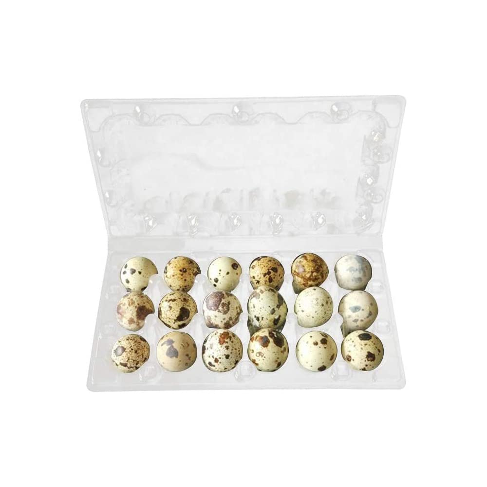 Easy Media 50pz vaschette contenitori da 18 uova di quaglia cad. blister trasparenti in plastica portauova 18 posti