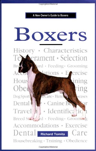 A New Owner's Guide to Boxers