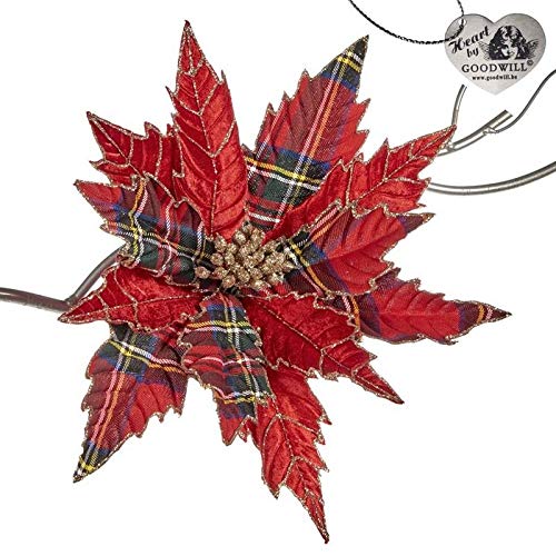 Addobbi Natalizi Goodwill.Stella Di Natale Clip Goodwill Amazon It Casa E Cucina