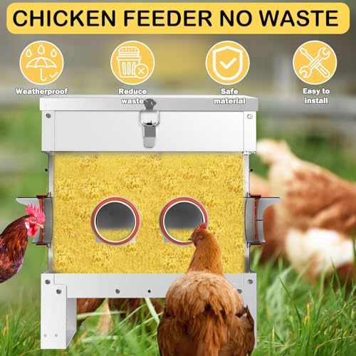 Alimentador automático de frango sem desperdício de metal para aves, grande capacidade, 11 kg para g