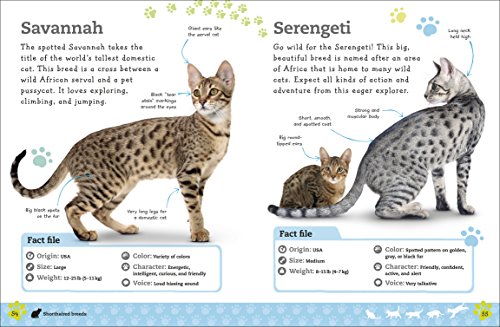 The Everything Book Of Cats And Kittens (Everything About Pets) #TOP5