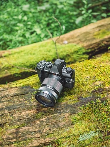 Sony A7R V mirrorless camera