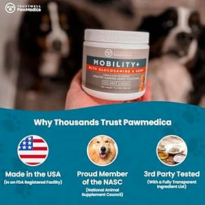 Pawmedica glucosamine for dogs hip  joint care chews for dogs joint support for dog joint supplements with hemp mobility for dogs senior dog joint supplement large breed  120 dog hemp chews   cucciolini doodles