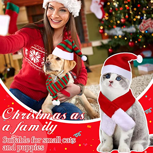 Set 10 piezas gorros Santa y bufandas para mascota miniatura 4