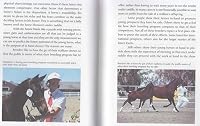 In-Hand: A Practical Guide to Preparing & Showing Your Horse 0939481634 Book Cover