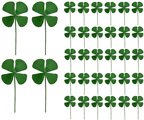 Flores secas prensadas naturales trébol de 4 hojas 24 pcs miniatura 1