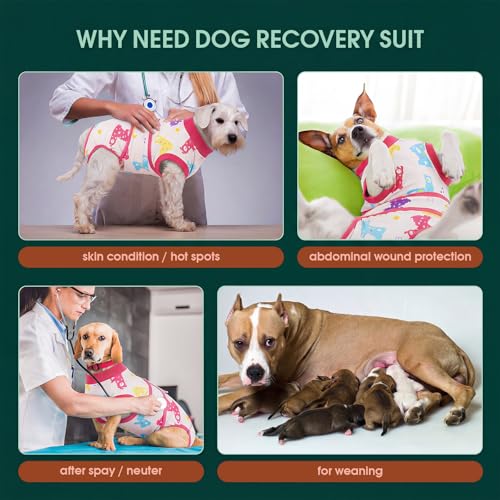Image of Kuoser Dog Surgery Recovery Suit, Pet Recovery Suit for Dogs Female Male Spay Neuter, Anti-Licking Dog Surgical Onesie for Abdominal Wounds Skin Issues, Dogs Bodysuit Cone E-Collar Alternative, L