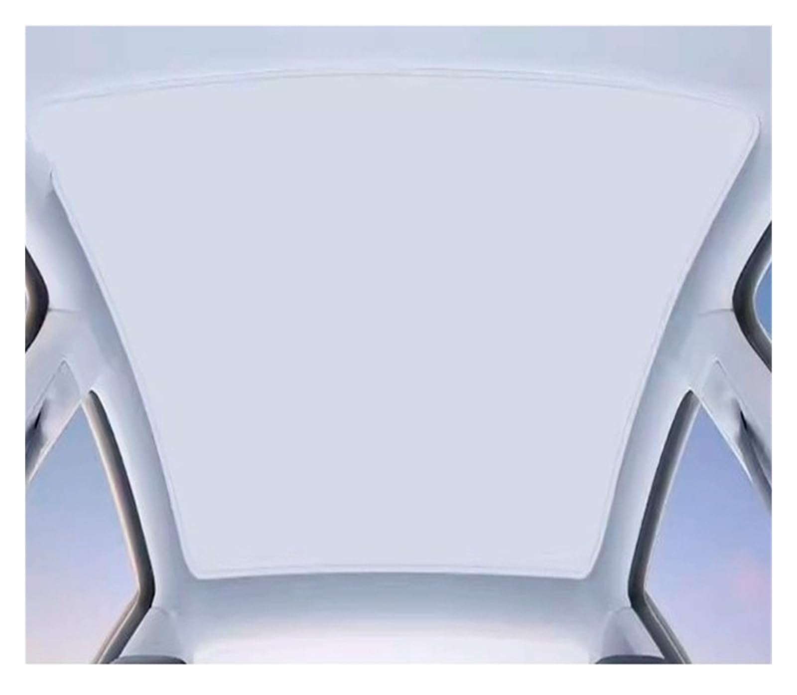 Parasol Luna de Coche Parasol para Techo corredizo Delantero y Trasero, Cortina para Xpeng G6 2024 2025 2026 Parasol Coche(C)