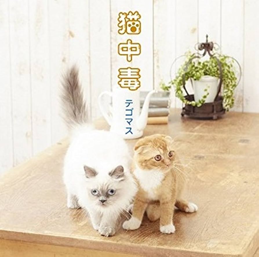 Amazon.co.jp: 猫中毒(通常盤): ミュージック