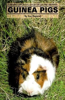 Hardcover Guinea Pigs by Kay Ragland (1981-09-03) Book