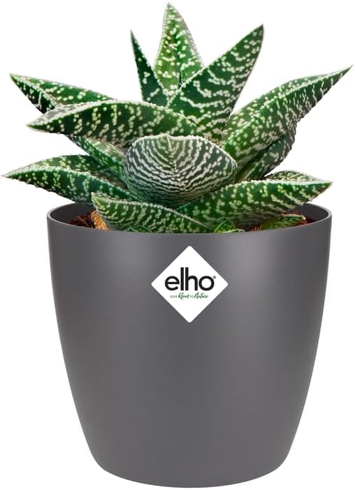 elho Brussels Round Mini 9,5cm Flower Pot - Anthracite