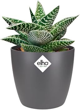 elho Brussels Round Mini 9,5cm Flower Pot - Anthracite