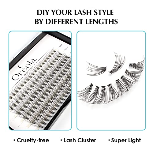 Oreola False Eyelashes Natural Lashes Cluster for DIY at Home Ultra-Light Individual Cluster Lash Extensions 0.07C Curl 8-14mm - Image 4