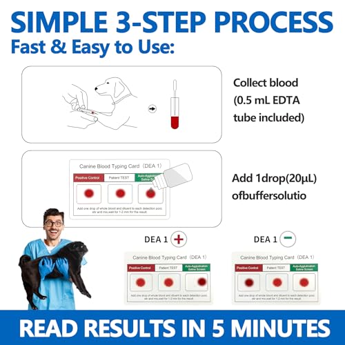 Image of Canine Dog Blood Typing Test Kit for DEA1 Detection | At-Home Dog Blood Type Test with Free Stainless Steel ID Tag