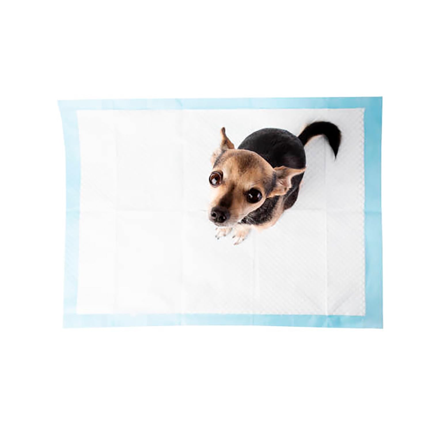 Empapadores para Perros. Pack 48 Alfombras Absorbentes, Antideslizantes para Mascotas. Empapador para Mascotas, Alfombrilla Higiénica de Entrenamiento (60x90cm 48 Uds)