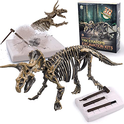 Best 12 TRex Skeleton Dino Dig Kits for Young Paleontologists