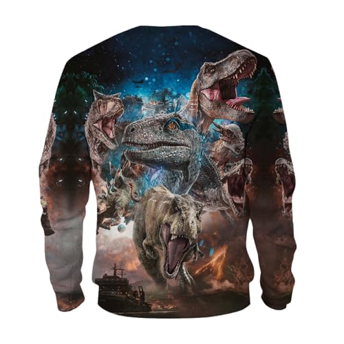 Boy's Girl's Comfy Print 3D T-rex Dinosaur Sport Long Sleeve Crew Neck Sweatshirt With 6-14 Years4