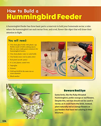 World of Pollinators: A Guide for Explorers of All Ages: Fun Projects, Over 600 Amazing Facts About Plants, Bees, Beetles, Birds, and Butterflies (Creative Homeowner) Outdoor Activities for Kids 8-12 - Image 9