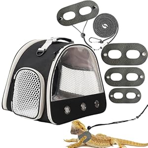 Guinea Pig Carrier,Guinea Pig Carrier for 2,Reptile Travel Carrier for Lizards Sugar Glider Hedgehog Rat Parrot Birds (Black, Carrier+Harness Leash)