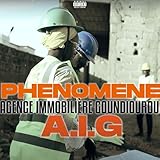 aigues vives immo  A.I.G