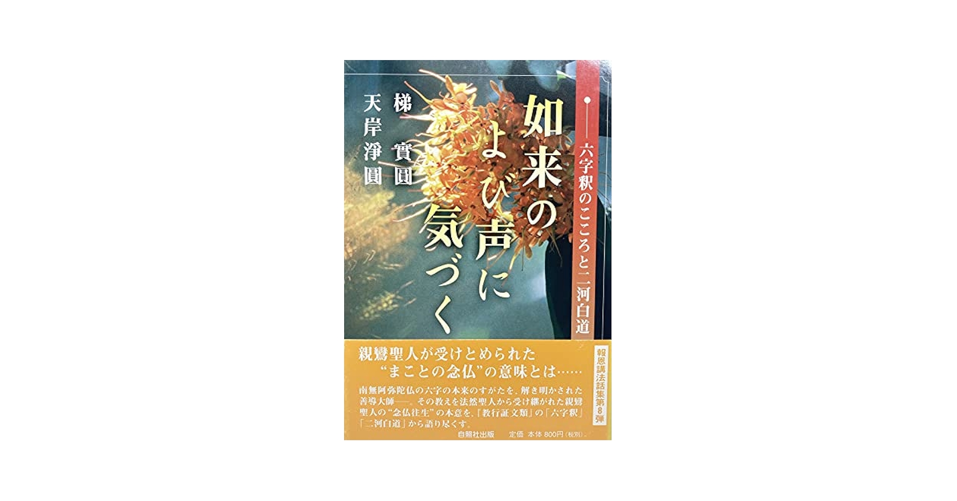 【中古】 如来のよび声に気づく 六字釈のこころと二河白道/自照社出版/梯実圓 如来のよび声に気づく: 六字釈のこころと二河白道 | 梯 實圓, 天