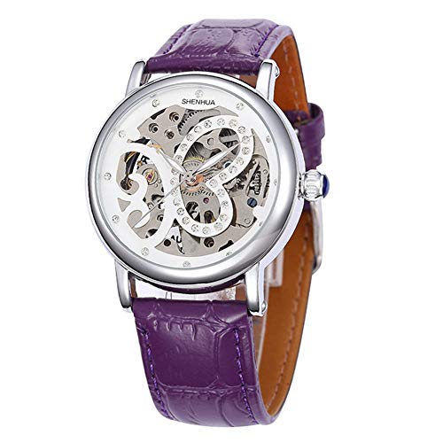 Preisvergleich Produktbild Excellent Automatische Männer mechanische Uhr Armbanduhr Herren Analog Mechanisch Uhr Automatikwerk Uhr Business Armbanduhr,C06