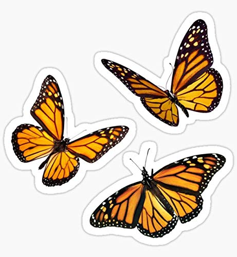 Monarch Butterfly Sticker Pack Orange Sticker - Sticker Graphic - Auto, Wall, Laptop, Cell, Truck Sticker for Windows, Cars, Trucks