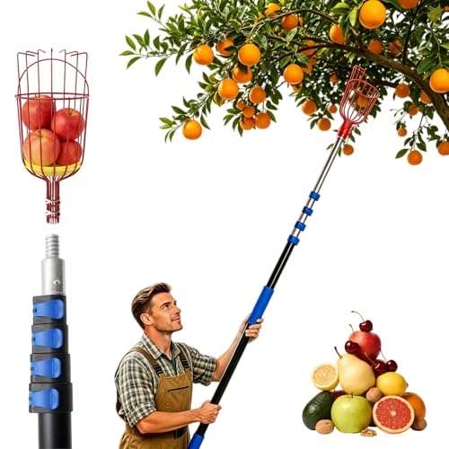 Karveden 26FT Reach Fruit Picker Pole with Basket Telescoping 5-20FT Extendable Aluminum Apple Picker for Picking Avocados Figs Mangoes Citrus Fruits - Durable Harvesting Fruit Catcher for Trees