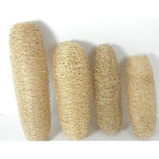 GNR Body Scrub Set - 4 Pack