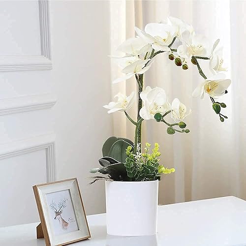 Miniatura 3 de Olrla Orquídeas artificiales blancas en maceta, flores de imitación de tacto real para decoración del hogar y la oficina (Grupo 2)
