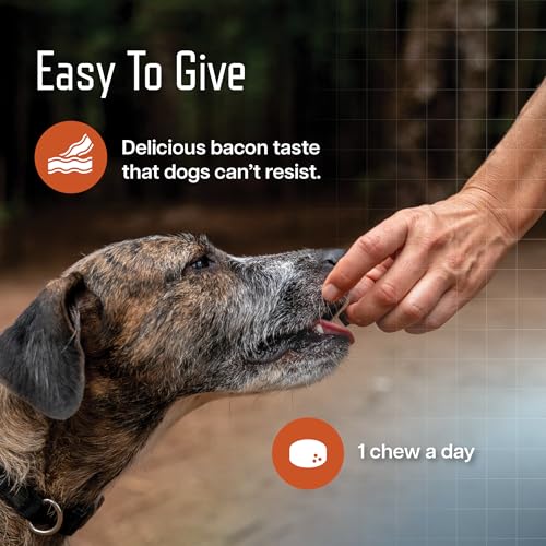 Image of Virbac URSOLYX Soft Chews for Dogs | Muscle Health Support for Senior, Active or Recovering Dogs, Small | 120 Count 4-Month Supply