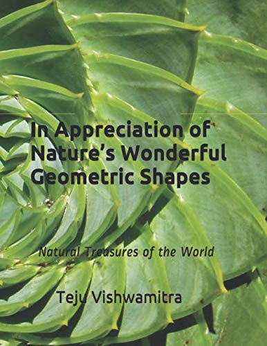 In Appreciation of Nature's Wonderful Geometric Shapes: Natural Treasures of the World