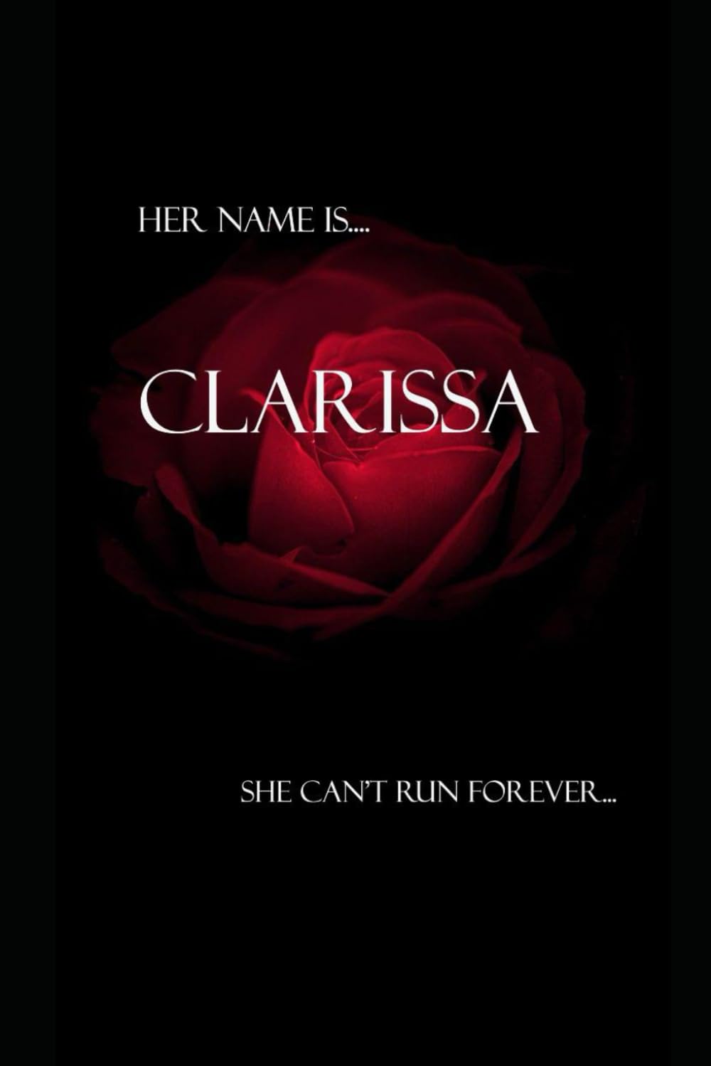 Clarissa: A Hide and Seek Novel