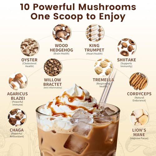 Catfit Instant Mushroom Coffee Powder 5 64 Ounce - image 4