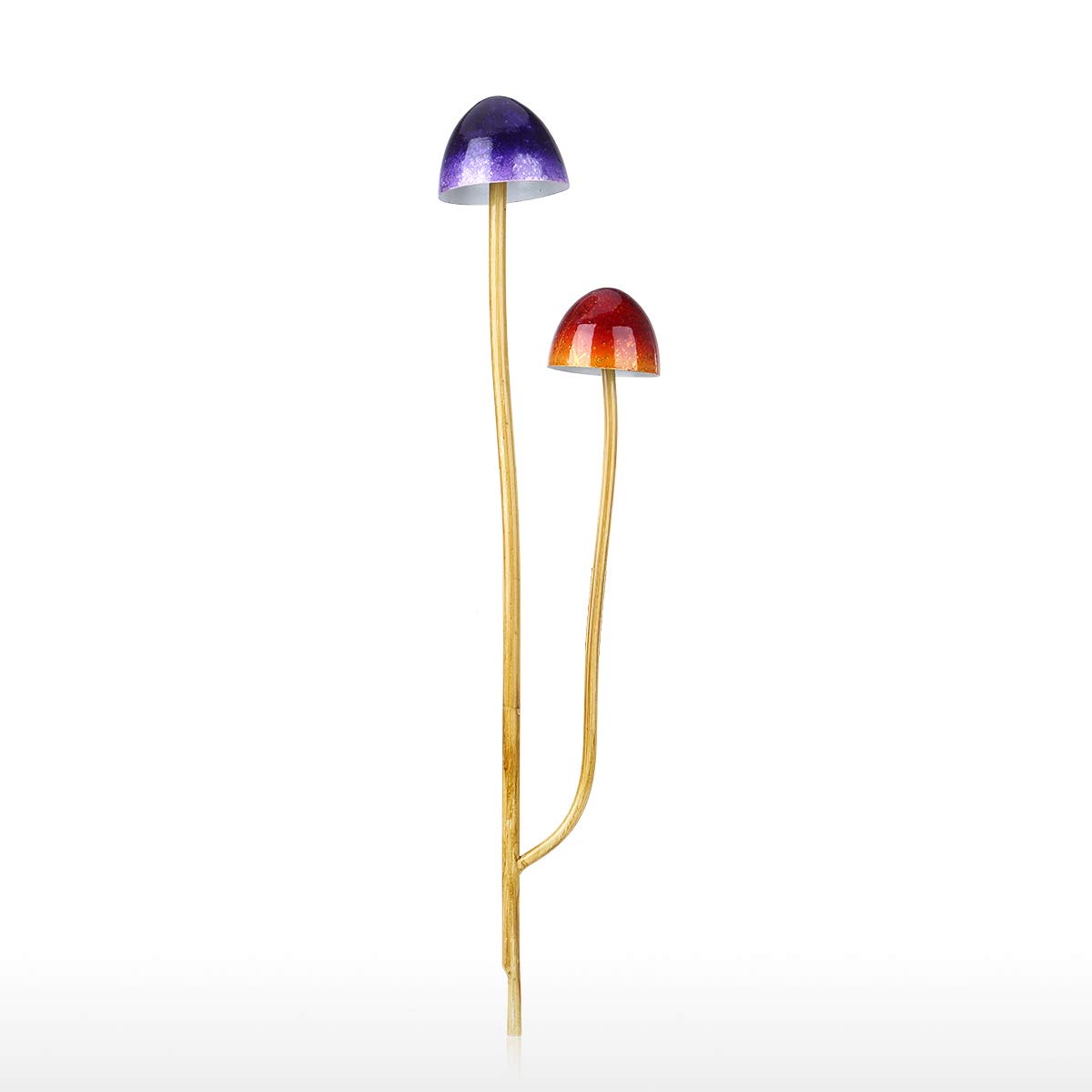 きのこページ ?media_id=3489927445979883376